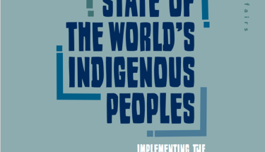 State of the World's Indigenous Peoples, Volume IV, Implementing the United Nations Declaration on the Rights of Indigenous Peoples