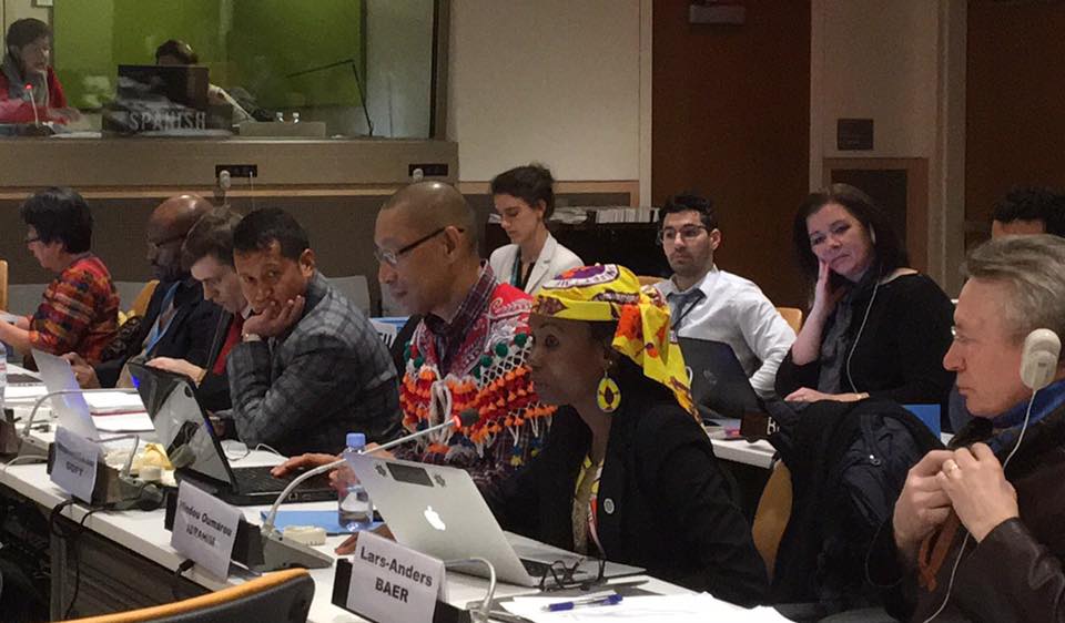 Expert meeting on UN Declaration on the Rights of Indigenous Peoples