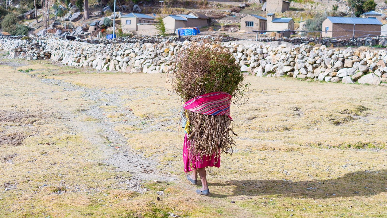 UNDP Photo