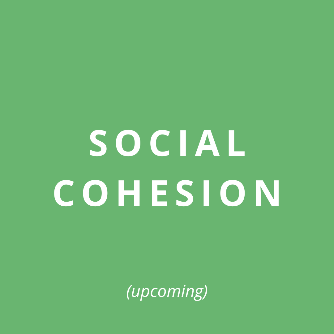 social cohesion