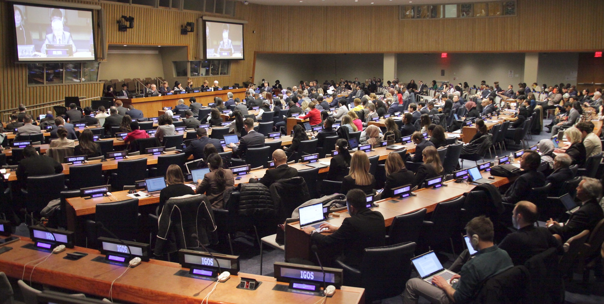 CSocD61 Photo by UNDESA