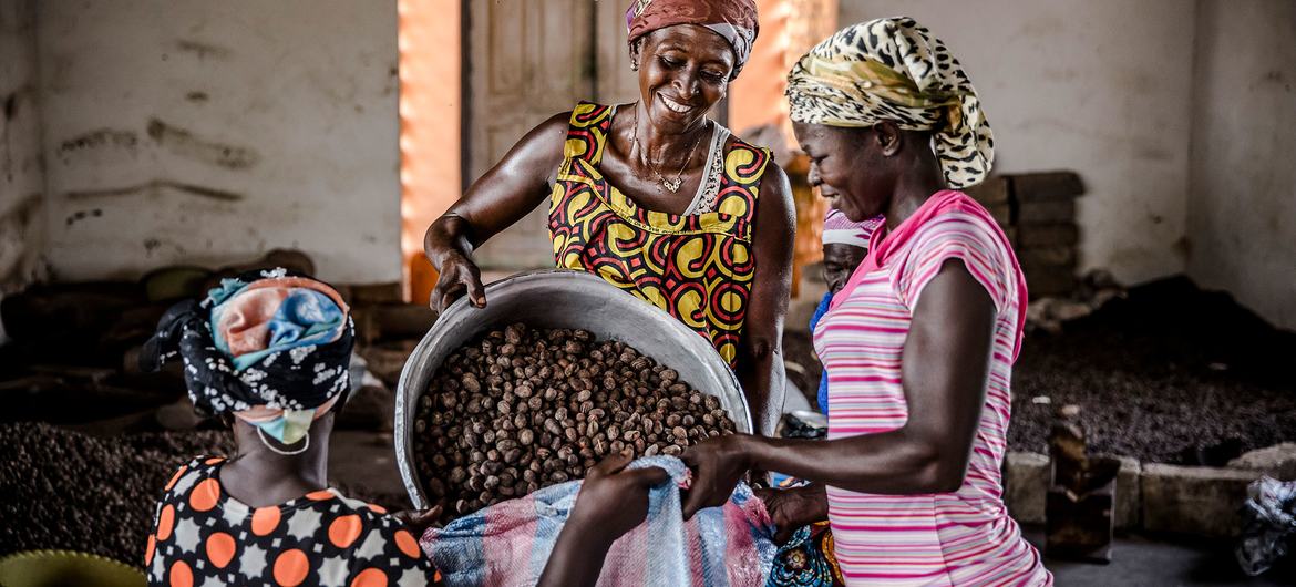 © FAO/Luis Tato The production of shea nuts and butter are among the most accessible income-generating activities for rural women in Northern Ghana.