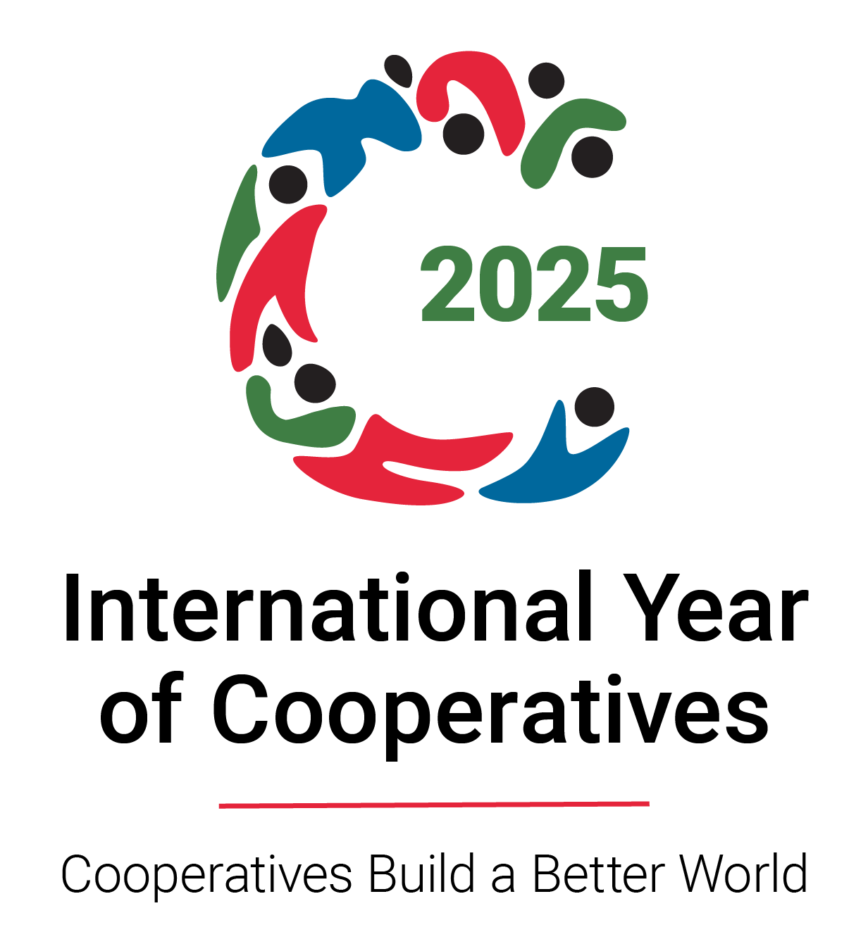 IYC 2025 Logo