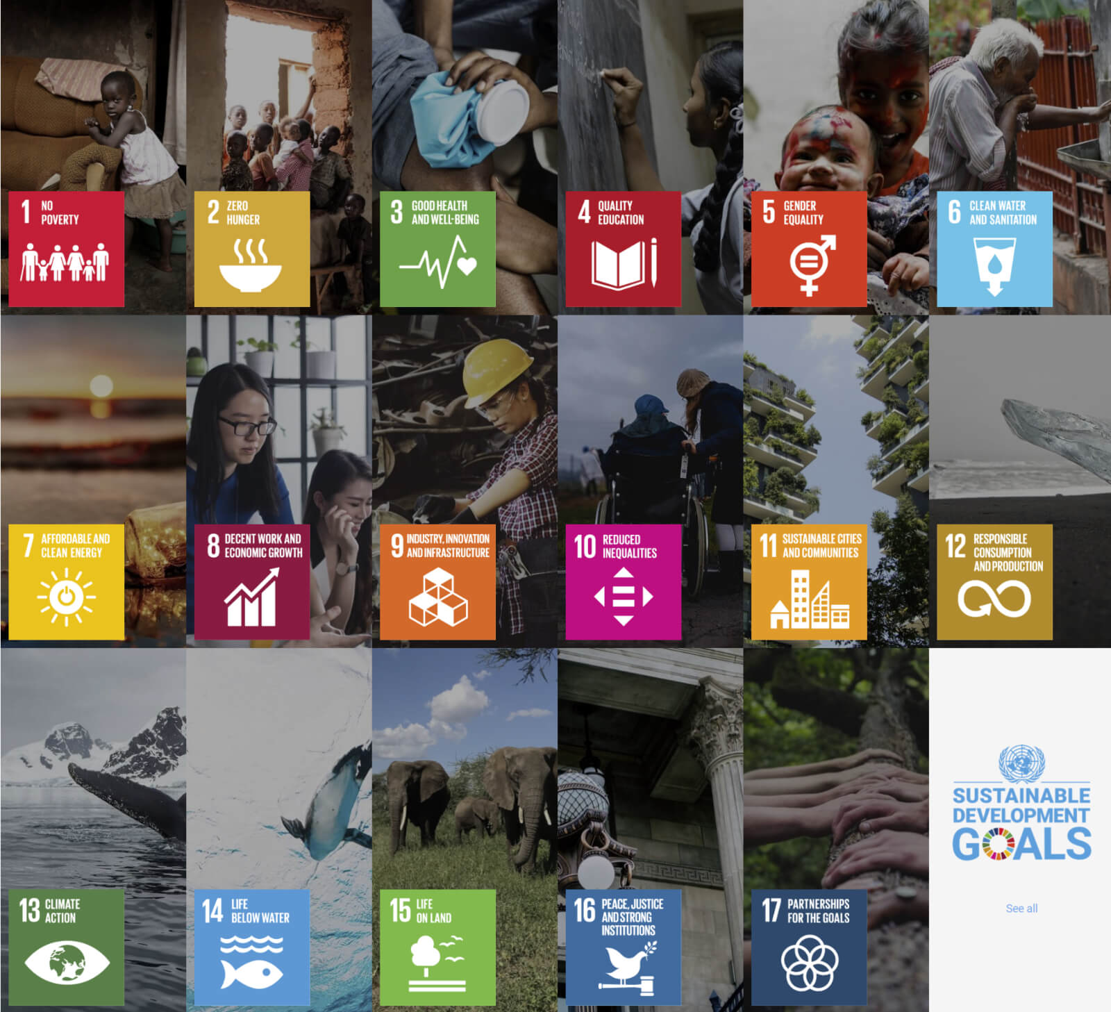 SDGs UN Photo