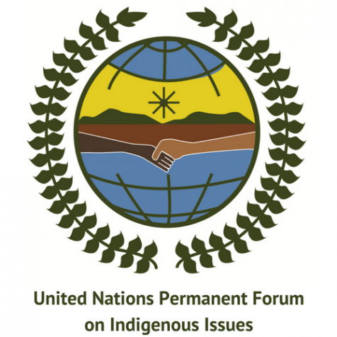 UNPFII Logo