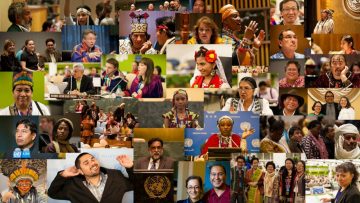 Indigenous Peoples at the United Nations