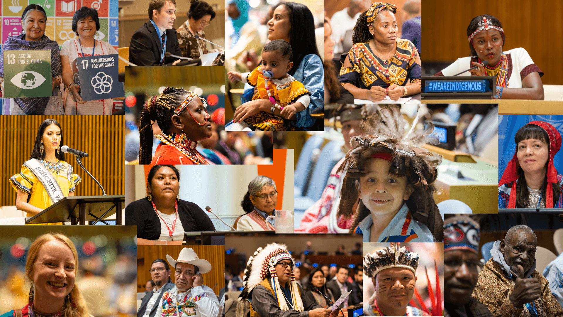 Collage Indigenous Peoples ES