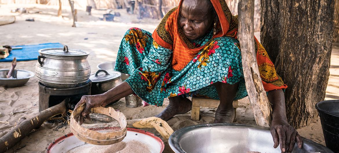 © WFP/Evelyn Fey A woman prepares a meal in her rural kitchen in Chad.