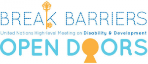 Visual identity of the High-level meeting of the General Assembly on disability and development, 23 September 2013