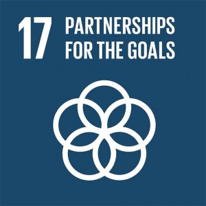 SDG - Goal 17