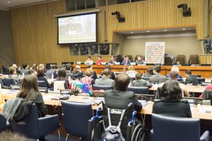 Opening of the IDPD 2017