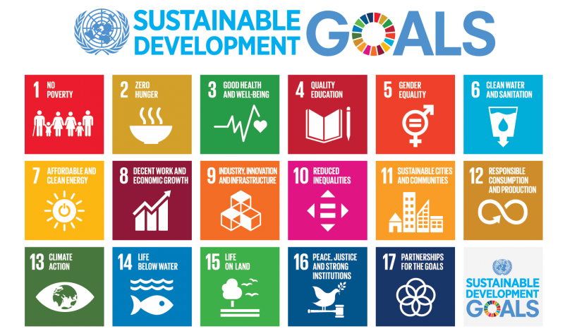 Sustainable Development Goals (SDGs) and Disability | Division for  Inclusive Social Development (DISD)