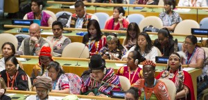 A view of participants in the General Assembly Hall during the opening ceremony of the Fifteenth Session of the United Nations Permanent Forum on Indigenous Issues.