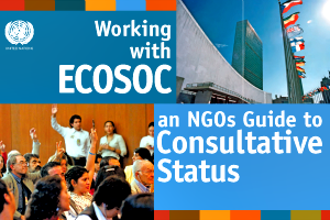 NGO ECOSOC Status Brochure