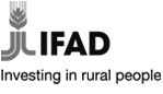 IFAD Logo