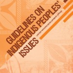  Directrices sobre las cuestiones relativas a los Pueblos Indígenas -Grupo de las Naciones Unidas para el Desarrollo (UNDG Guidelines)-