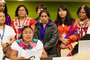 from-the-13th-session-of-unpfii_14178536736_o-e1456499065729