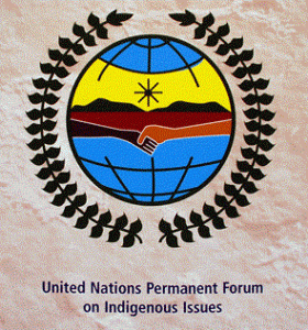 unpfii logo1