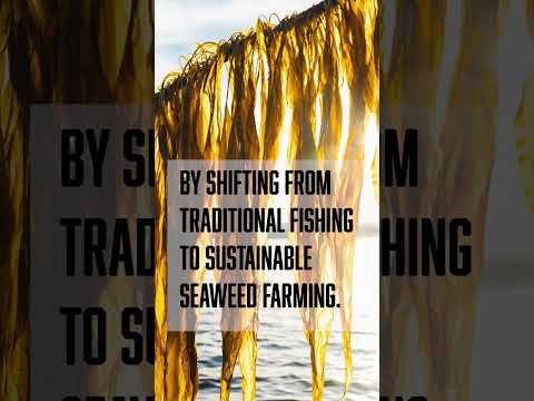 Preview image for the video "Cooperative Contributions to SDG 14 (Life Below Water) &amp; 15 (Life on Land)".