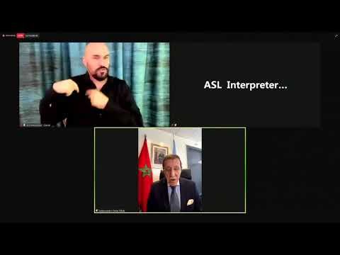 Preview image for the video "OEWG11 Ageing - The Impact of COVID-19 on Human Rights of Older Persons An International Perspective".