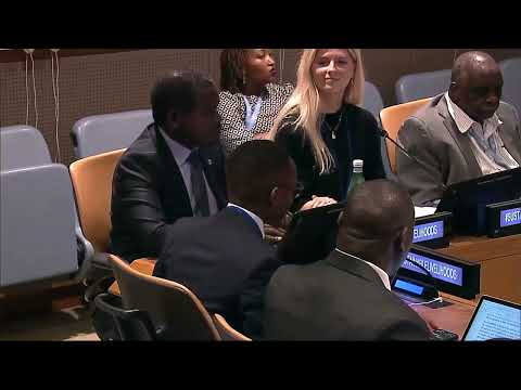 Preview image for the video "COSP17 Event on Redefining the Future: Decent work and sustainable livelihood". Preview image for the video "COSP17 Event on Redefining the Future: Decent work and sustainable livelihood".