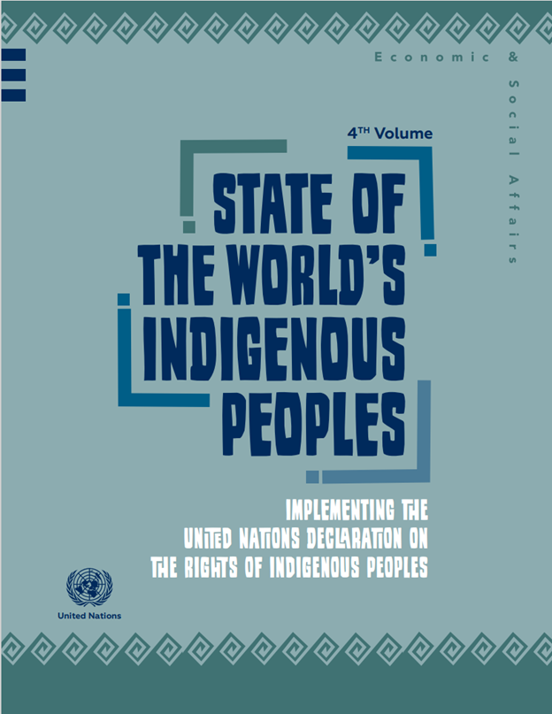 State of the World's Indigenous Peoples, Volume IV, Implementing the United Nations Declaration on the Rights of Indigenous Peoples