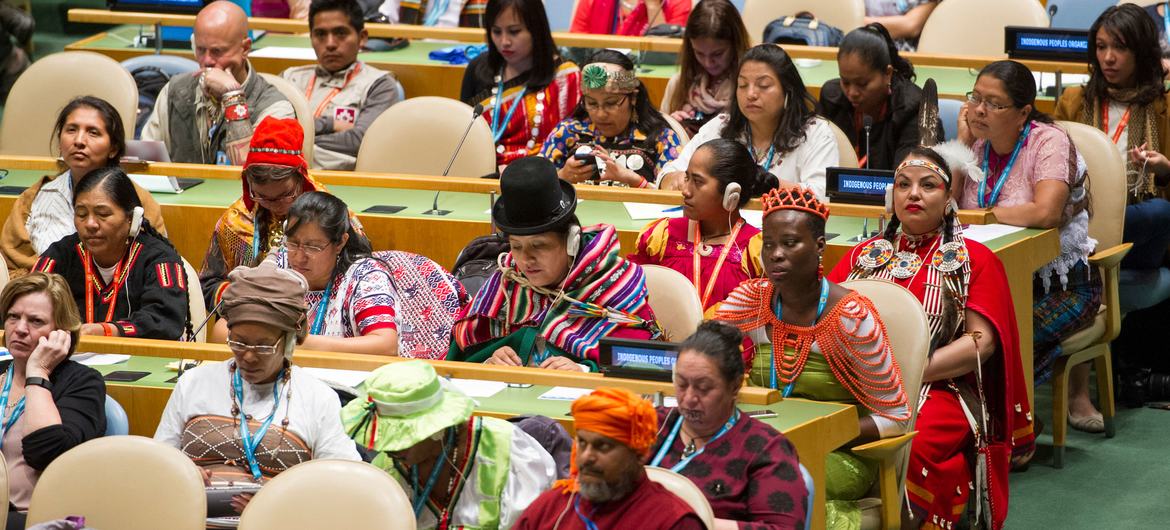 UN Photo/Rick Bajornas Participants gather in the UN General Assembly Hall for the opening ceremony of the Fifteenth Session of the United Nations Permanent Forum on Indigenous Issues in May 2016