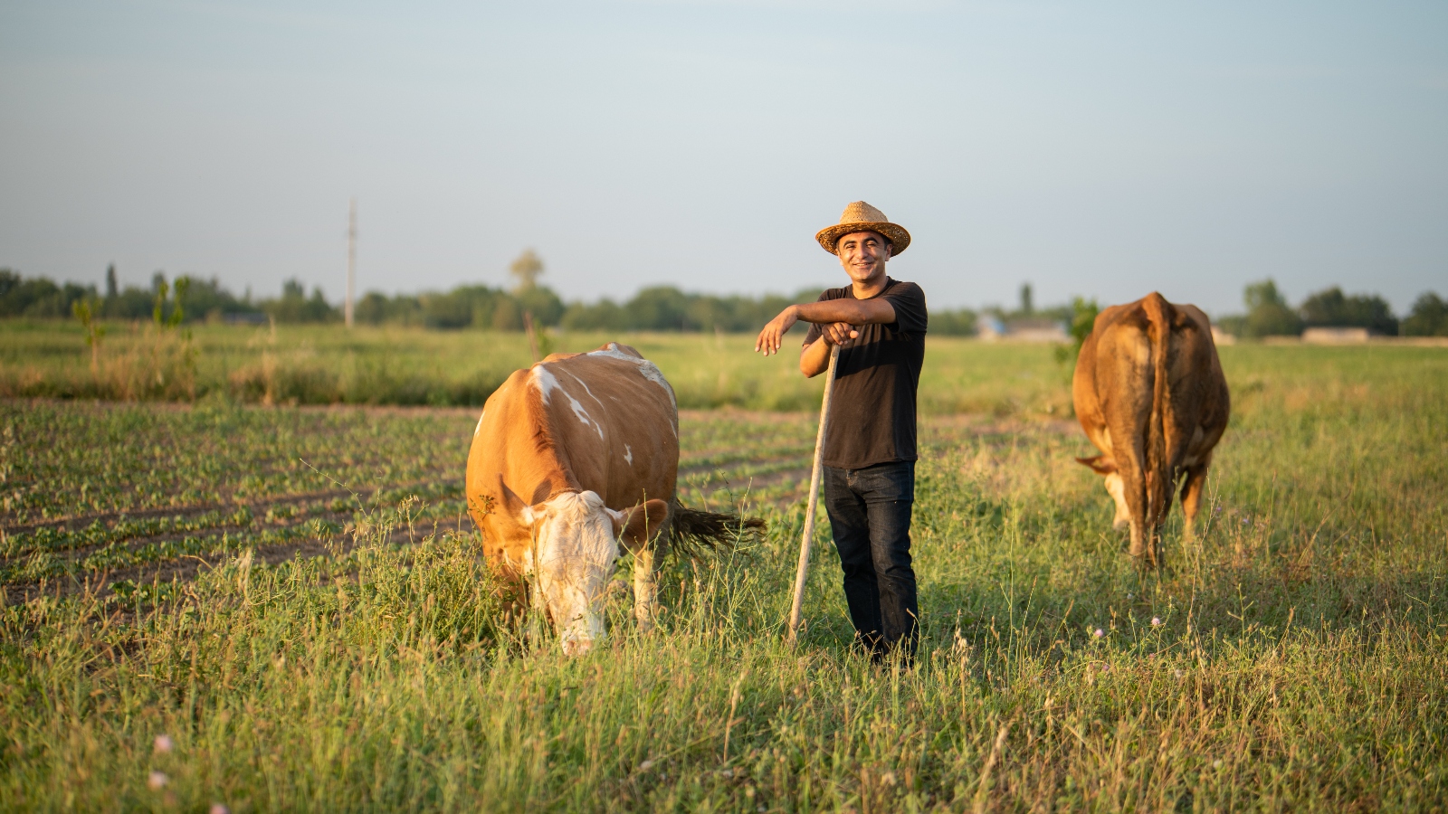 ©FAO/Javid Gurbanov