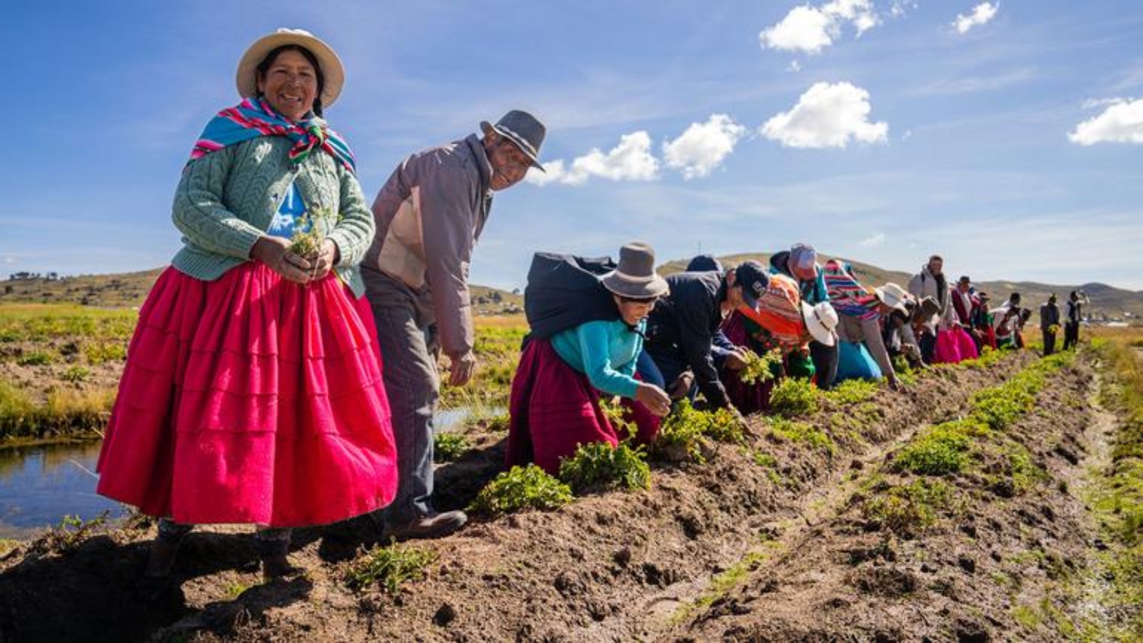 © UNDP/MINAM/PPD/Nuria Angeles Residents of Thunco in Ácora, Peru, harvest their produce.