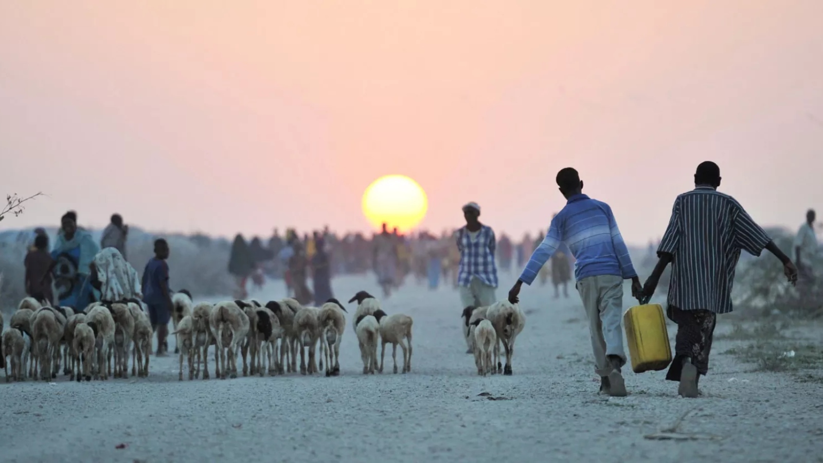 ILO - Social protection plays a key role in countering climate change impact but countries most impacted by the climate crisis are the least prepared