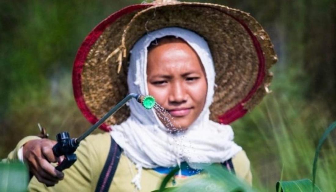 A woman spraying plants
