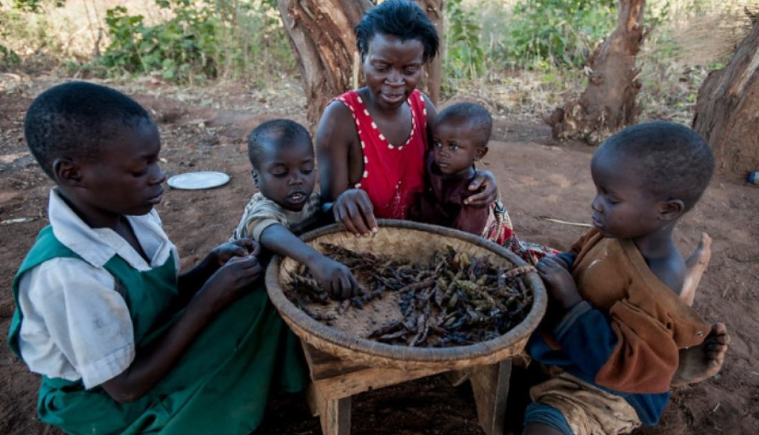 UNICEF