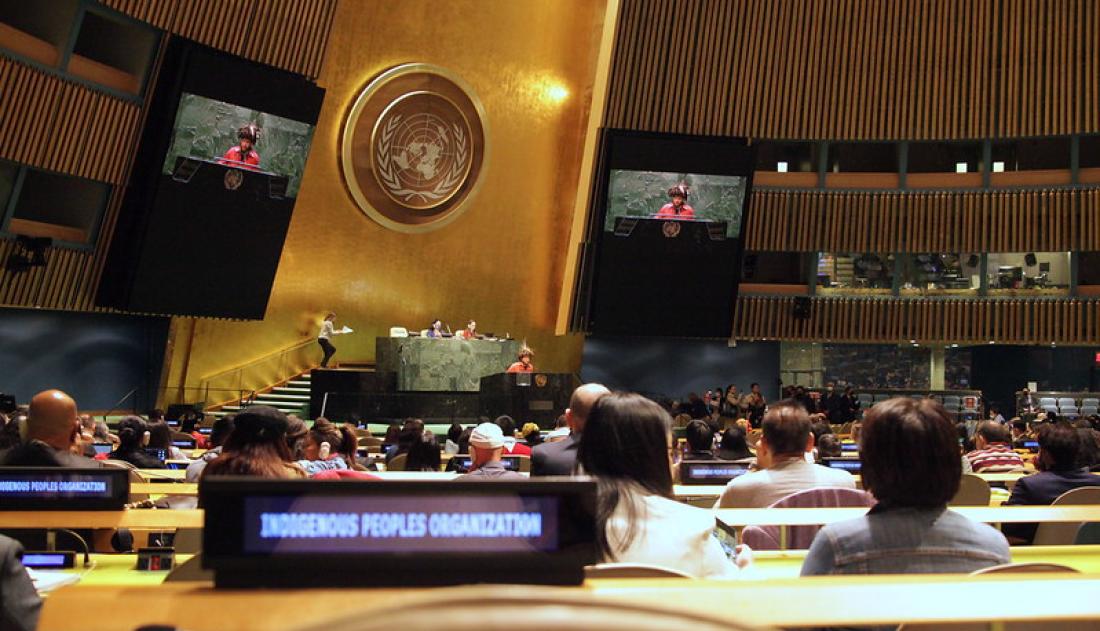 UNPFII 2022