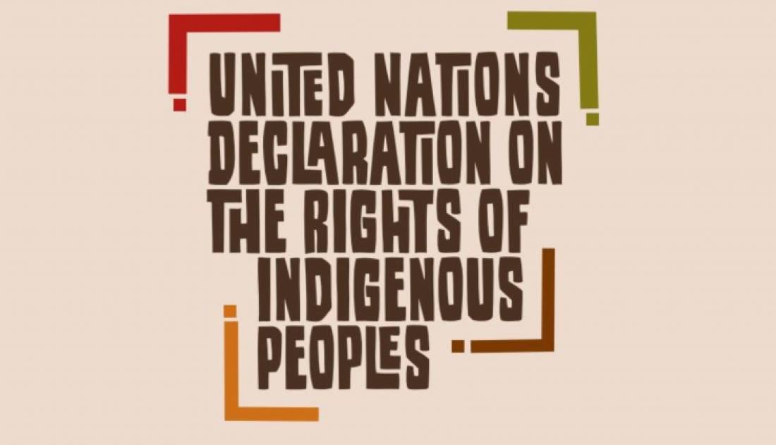 UNDRIP