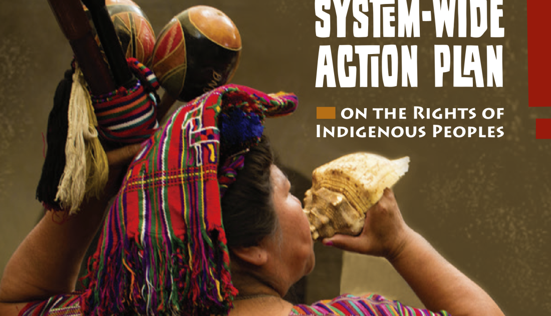 System-wide action plan (SWAP) on the rights of indigenous peoples