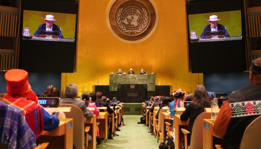 UNPFII 23