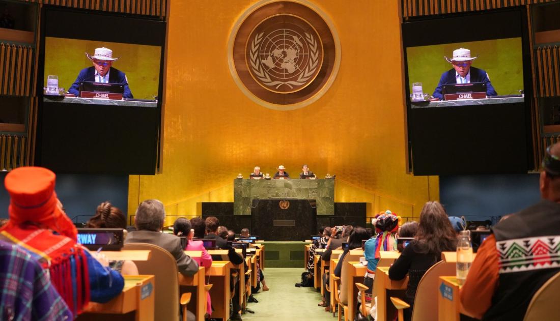 Photo: UN Permanent Forum on Indigenous Issues