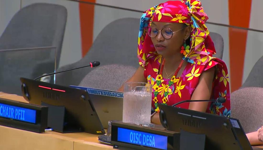 Ecosoc 24