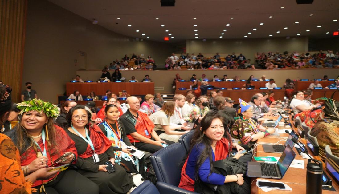 Registration for the 24th Session of the UNPFII