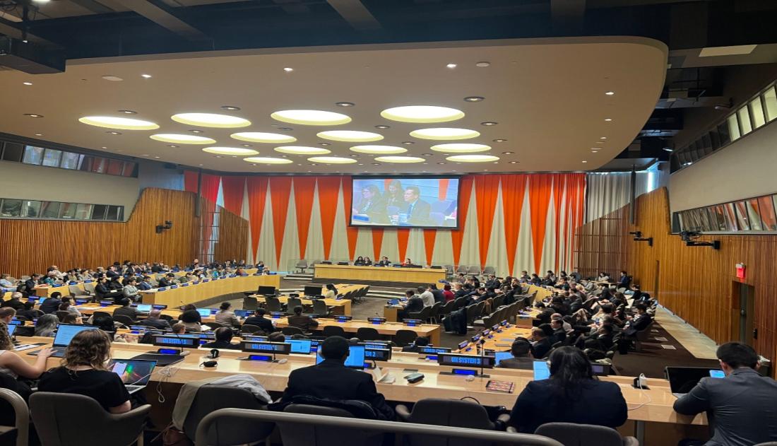 ECOSOC Elections of Government Nominated Members to the Permanent Forum on Indigenous Issues for Term January 2026- December 2028