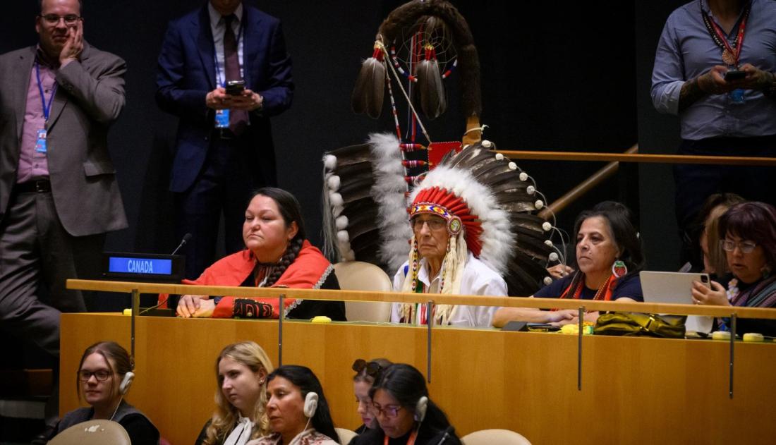 UN News UN Photo/Loey Felipe Participants attend the opening of the 24th Session of the Permanent Forum on Indigenous Issues.