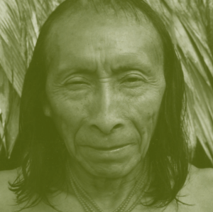 Indigenous peoples, Indigenous voices