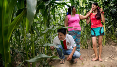 International Day of Cooperatives 2019