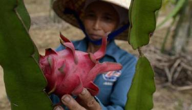 International Day Of Cooperatives 2014