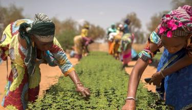 World Day of Social Justice 2017