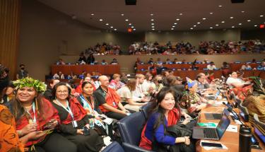 Registration for the 24th Session of the UNPFII