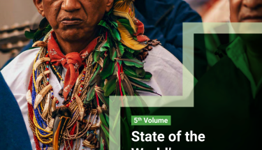 State of the World's Indigenous Peoples, Volume V, Rights to Lands, Territories and Resources