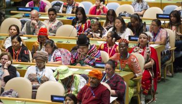 Opening of the Fifteenth session of the Permanent Forum on Indigenous Issues (UNPFII15)
Theme ÒIndigenous peoples: Conflict, Peace and ResolutionÓ