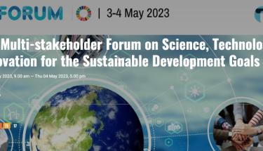 8th Multi-stakeholder Forum on Science, Technology and Innovation for the SDGs