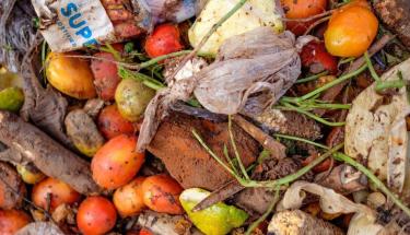 © FAO/Sumy Sadurni One fifth of all food available to consumers eventually goes to waste, a new UNEP report reveals.